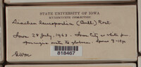 Image Associated With the Occurence